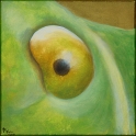 Augenblick eines Heupferds; Acryl auf Leinwand;
30 x 30 cm